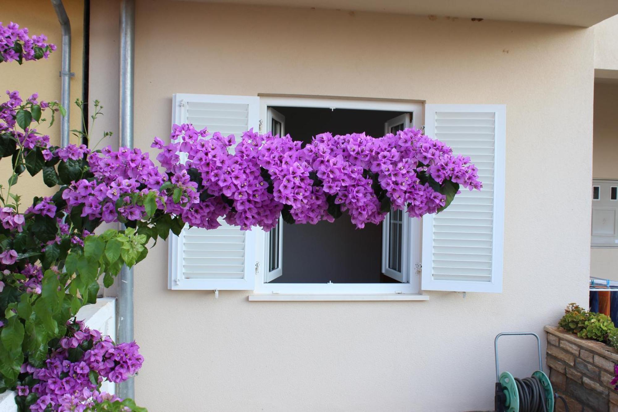 Apartment Mladen بيوغْغاد نا موغو المظهر الخارجي الصورة